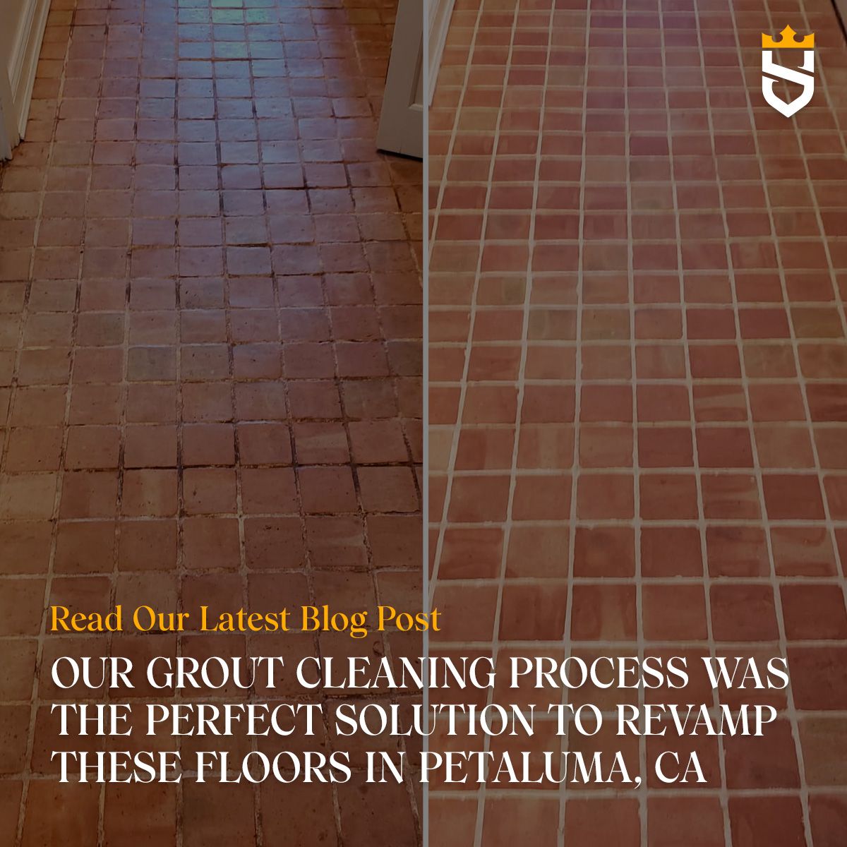 Our Grout Cleaning Process Was the Perfect Solution to Revamp These Floors in Petaluma, CA